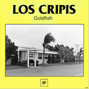 Goldfish [ep]