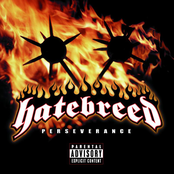 Healing To Suffer Again by Hatebreed