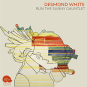 Run the Sunny Gauntlet