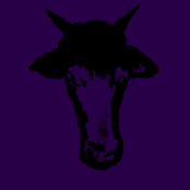 No Light in the Tunnel EP