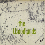 Until The Day Dims by The Woodlands