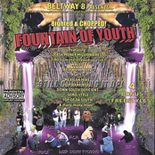 Fountain Of Youth : Eighted & Chopped