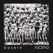 The Ground by Dasein