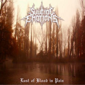 Lust of Blood in Pain