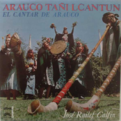 Arauko Tañi Lcantun