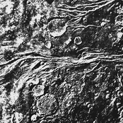 Lick My Pussy, Will Montgomery