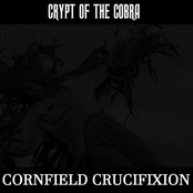 Cornfield Crucifixion