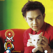 มอสแมวหมู่