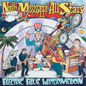 Mean Ol' Wind Died Down by North Mississippi Allstars