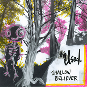 The Used: Shallow Believer