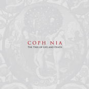 The Tree of Life and Death