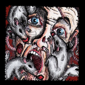 Among Rats