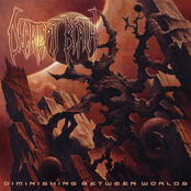 Decrepit Birth: Diminishing Between Worlds