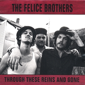 Song To Die To by The Felice Brothers