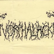 In The Sight Of Dragon