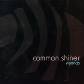 No Melody by Common Shiner