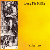 Valentino by Long Fin Killie