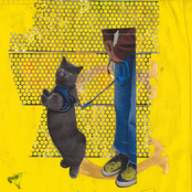 I Don't Know Much About Rocks