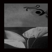 Sombra de Cadenas, Cadena de Sombras