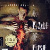 Phantasmagoria 2: A Puzzle of the Flesh