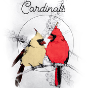 Cardinals - Single