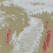 Seneca Falls? This Is Twin Falls!