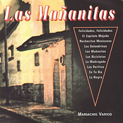 Mariachis Varios