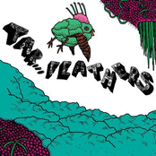 Tar...Feathers & Happiness (Split)