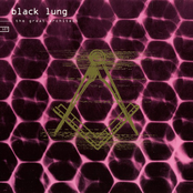 Scientific Delirium Madness by Black Lung