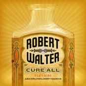 Robert Walter: Cure All