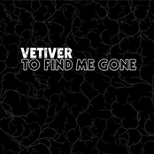 Vetiver: To Find Me Gone