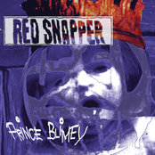 Red Snapper - Space Sickness