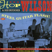 Steel Guitar Flash!