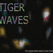 Best Coast by Tiger Waves