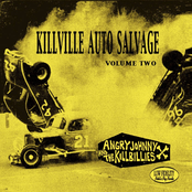 Never Counted On A Creep by Angry Johnny And The Killbillies