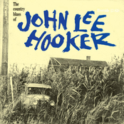 The Country Blues Of John Lee Hooker