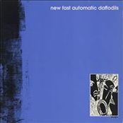 Your Dreams My Nightmares by New Fast Automatic Daffodils