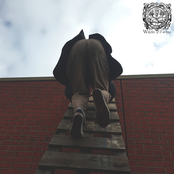 Blood Honey & the Creature Culture