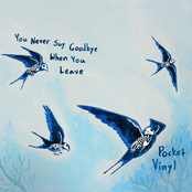 Pocket Vinyl: You Never Say Goodbye When You Leave