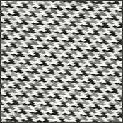 Lucy Claire Collaborations No. 2