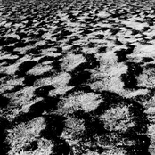 Waerachtighe beschryvinghe van drie seylagien, ter werelt noyt soo vreemt ghehoort