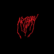 Artery