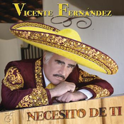 Esa Noche Te Olvidé by Vicente Fernández