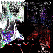 Pẳeoniå⸫✴∛⅓⁖♍ ·◦○❣