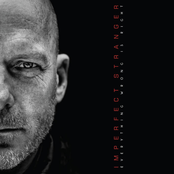 Everything Wrong is Right