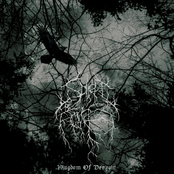 A Forest Of Revelations by Spirit Of The Forest