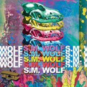 S.M. Wolf