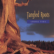 Loose Ties: Tangled Roots