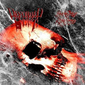 Cadaveric Carcass