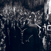 Girls Pissing on Girls Pissing/Log Horn Breed Split